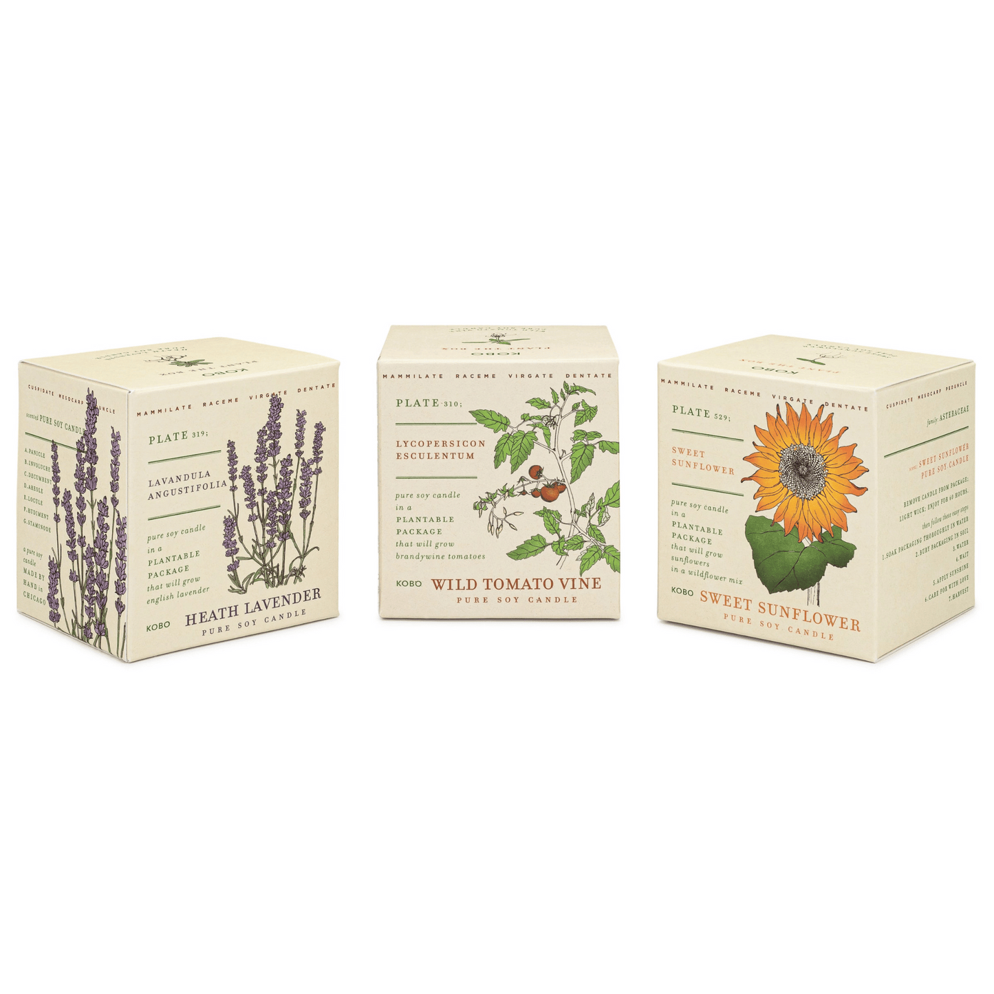 Alternate Image of Endless Summer Plant the Box Bundle 3 x 9 oz. Candles