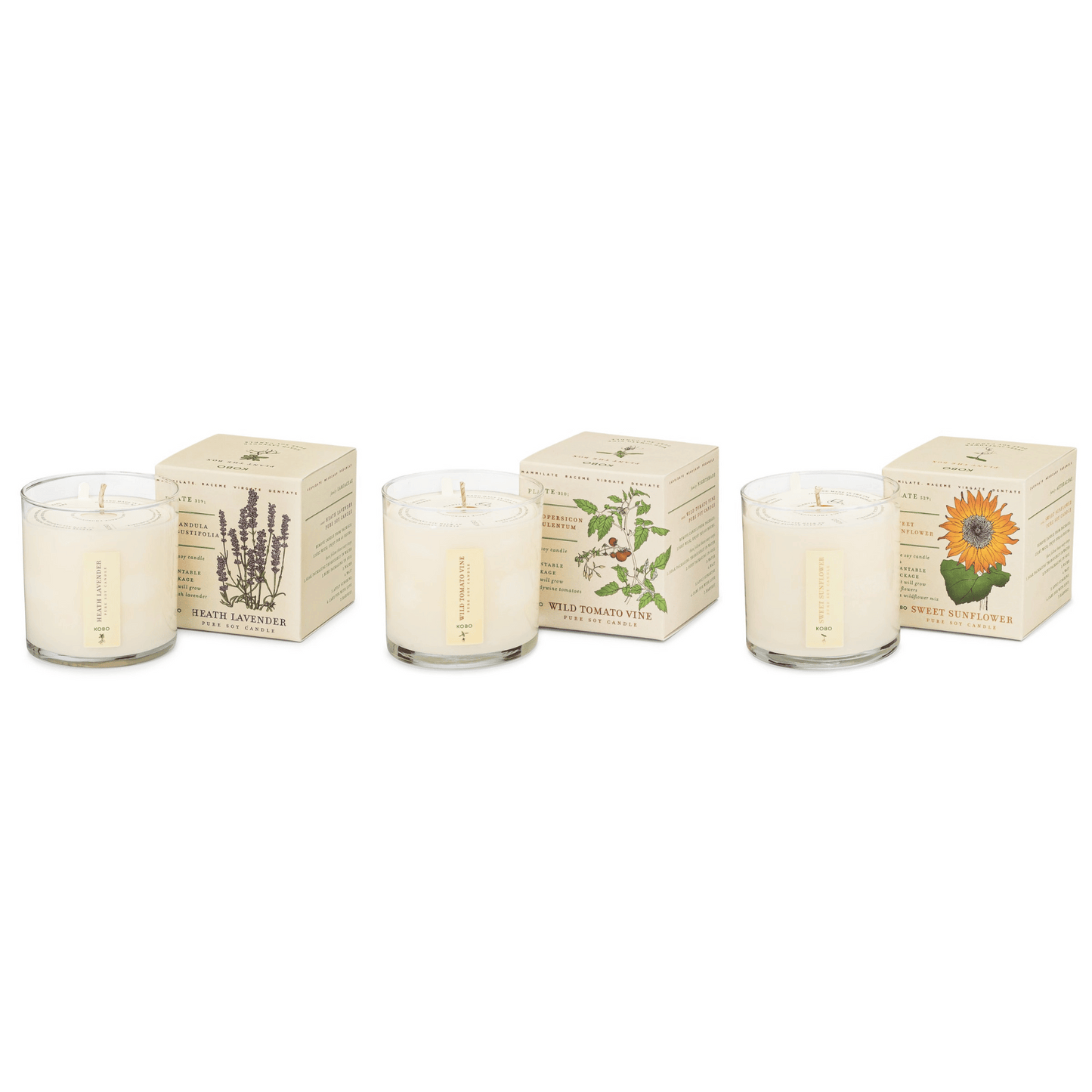 Primary Image of Endless Summer Plant the Box Bundle 3 x 9 oz. Candles