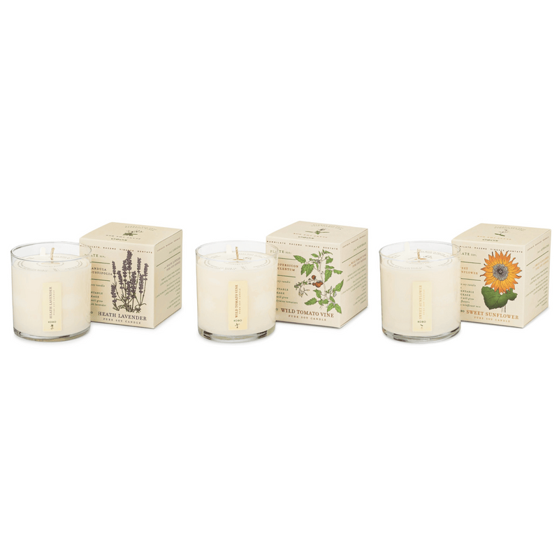 Primary Image of Endless Summer Plant the Box Bundle 3 x 9 oz. Candles