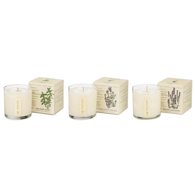 Primary Image of Herb Garden Plant the Box Bundle 3 x 9 oz. Candles