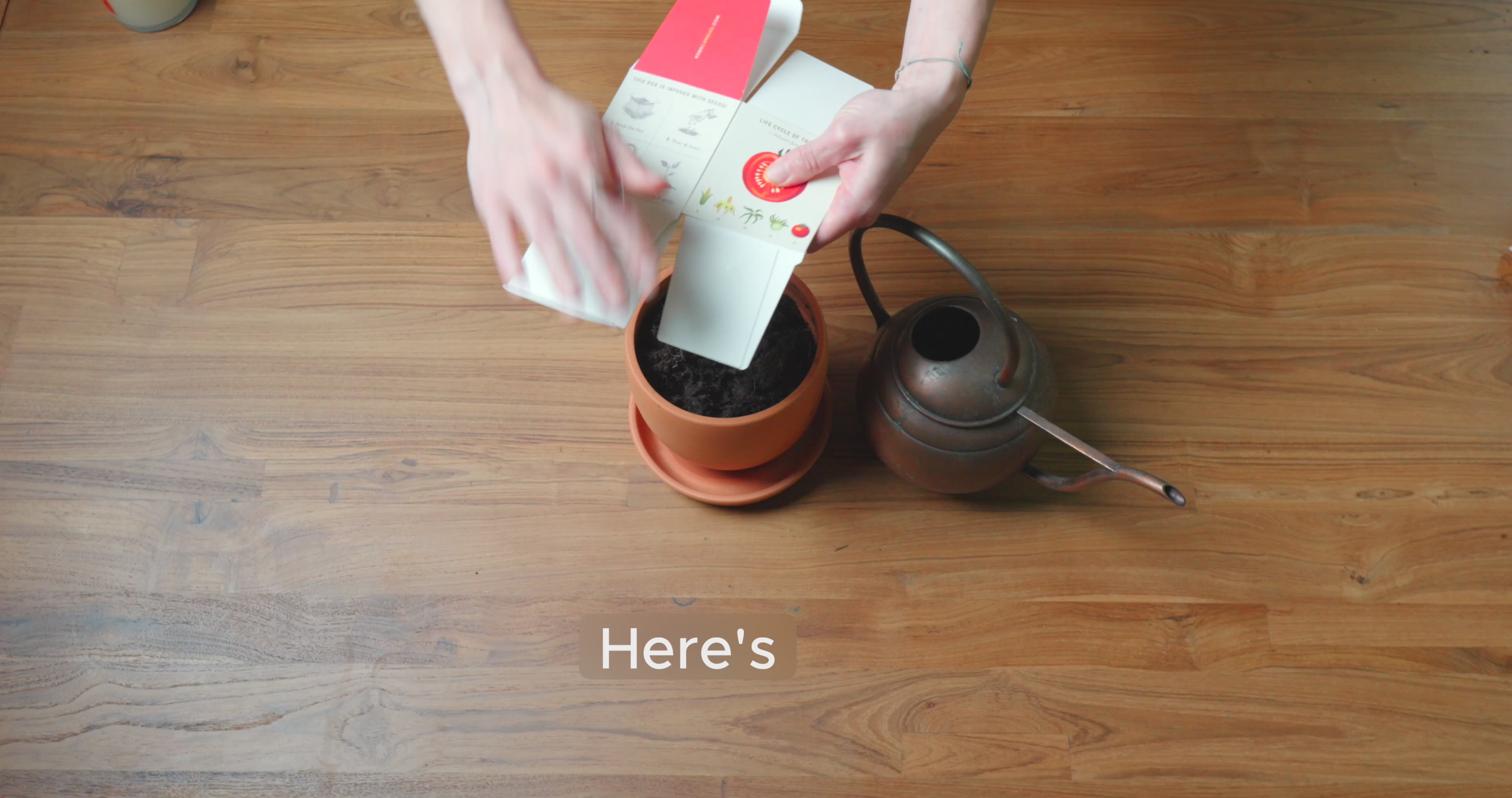 Sweet Sunflower Plant the Box Diffuser – KOBO