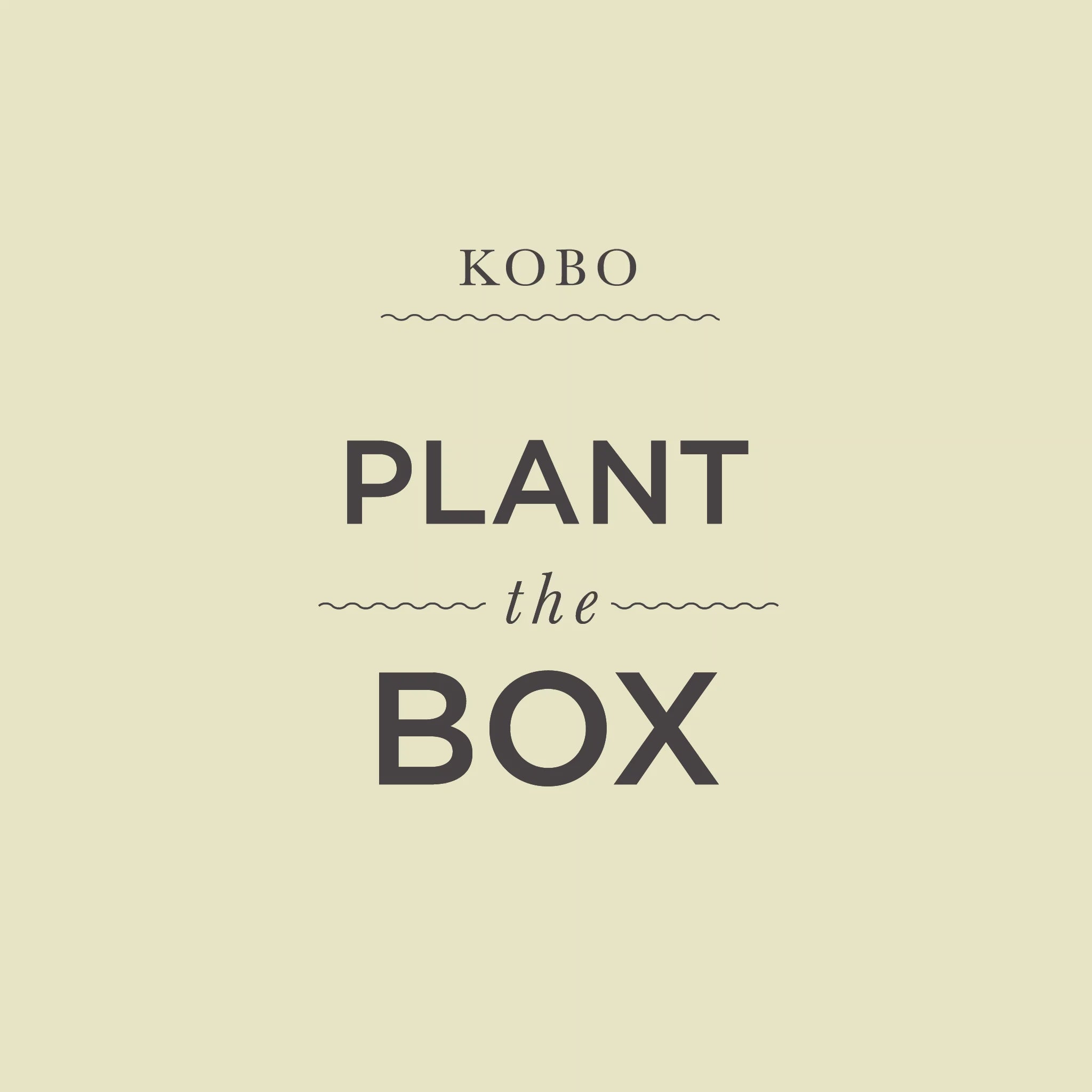 Wild Tomato Vine Plant the Box Candle