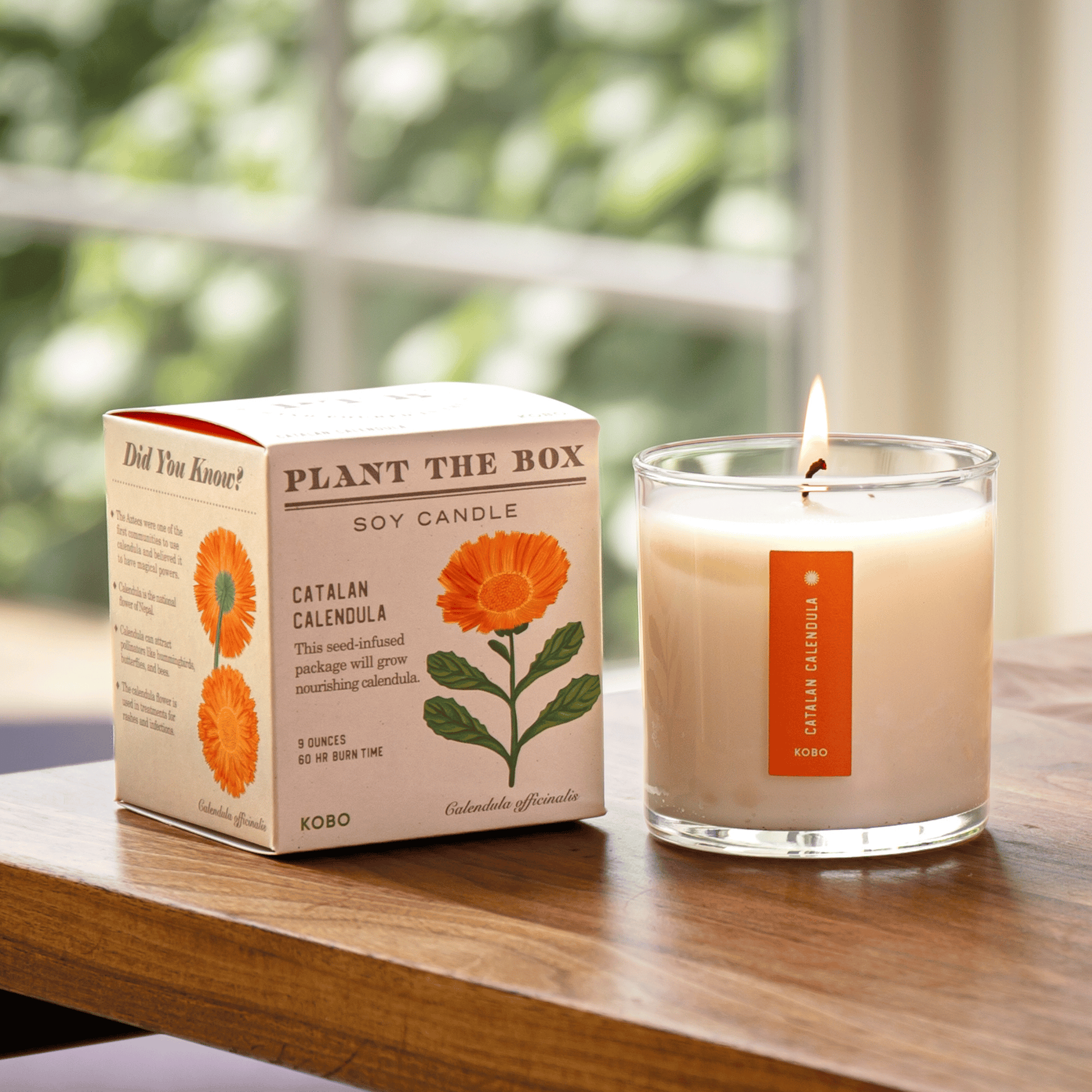 Alternate Image of Catalan Calendula Candle