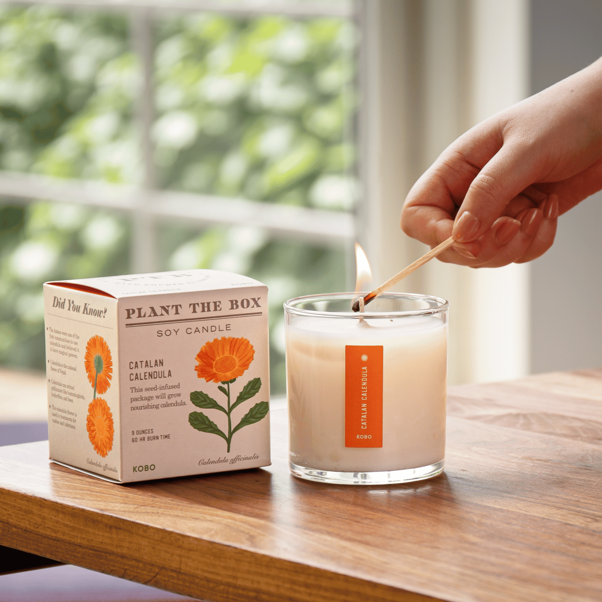 Alternate Image of Catalan Calendula Candle
