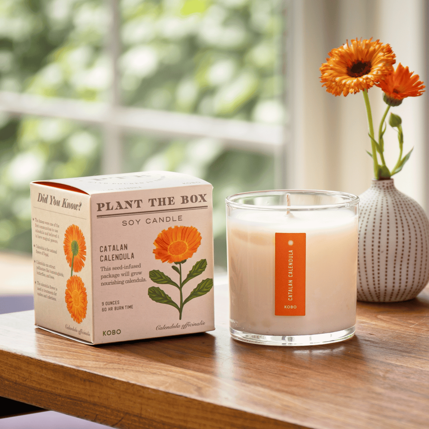 Alternate Image of Catalan Calendula Candle