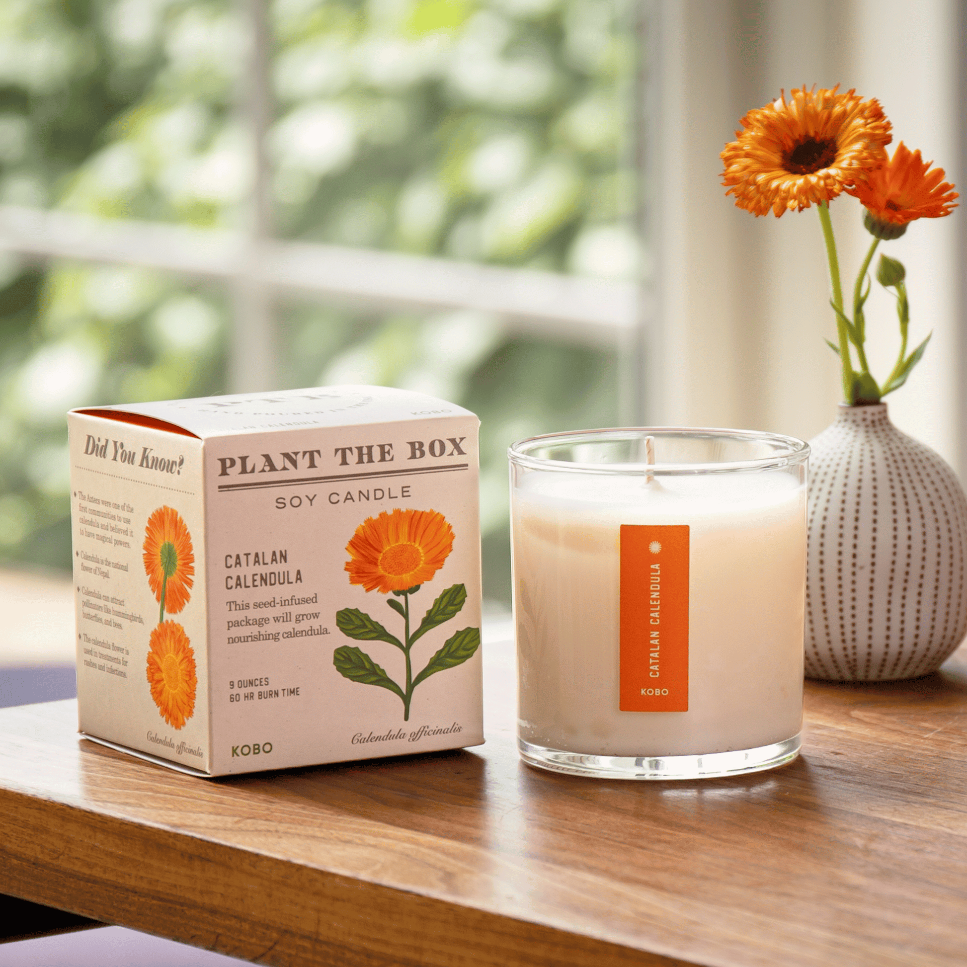 Alternate Image of Catalan Calendula Candle