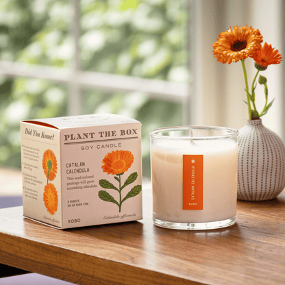 Alternate Image of Catalan Calendula Candle