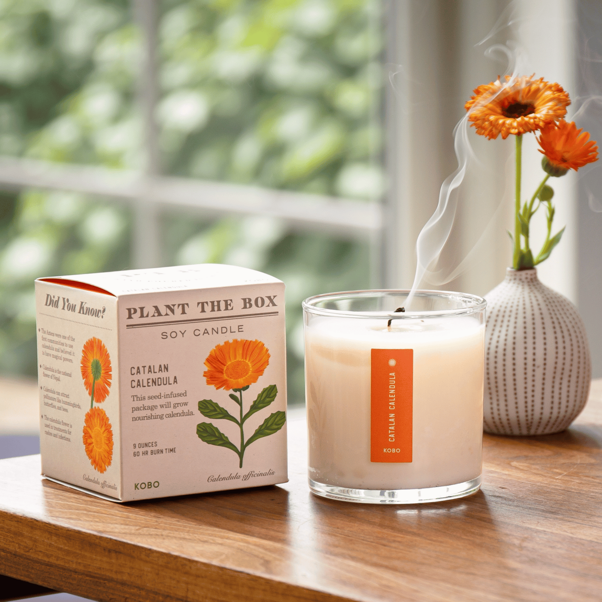 Alternate Image of Catalan Calendula Candle