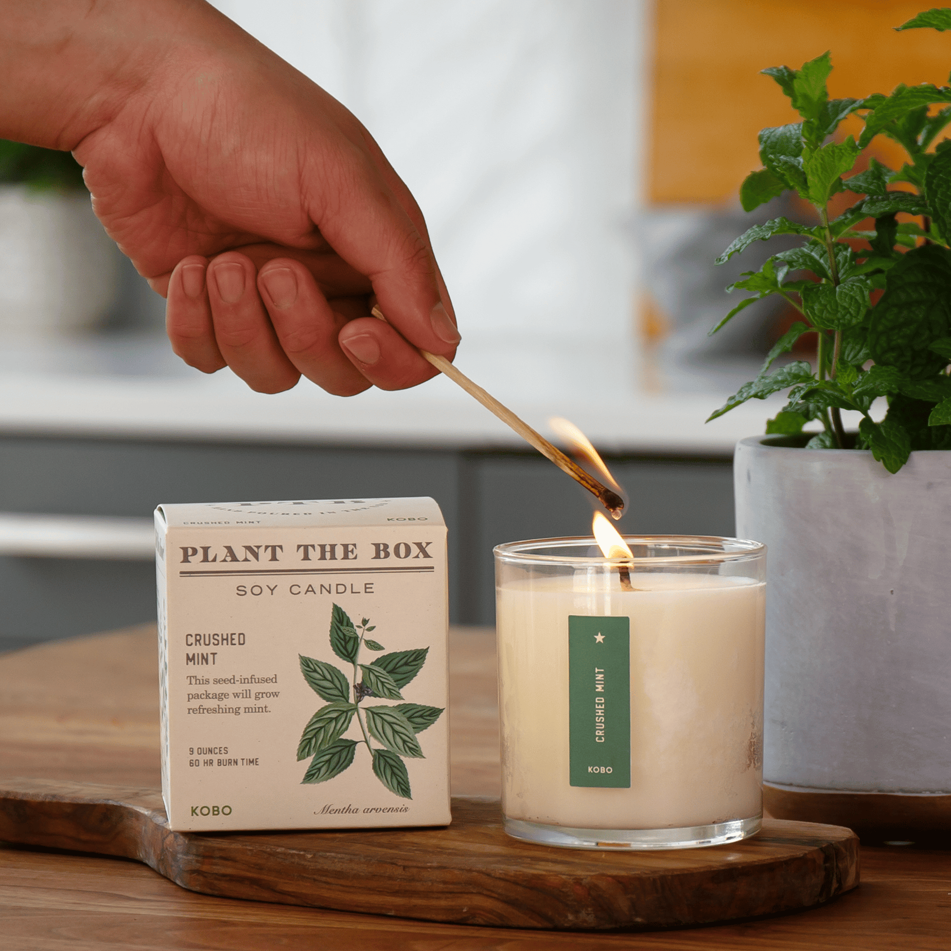 Alternate Image of Crushed Mint Candle