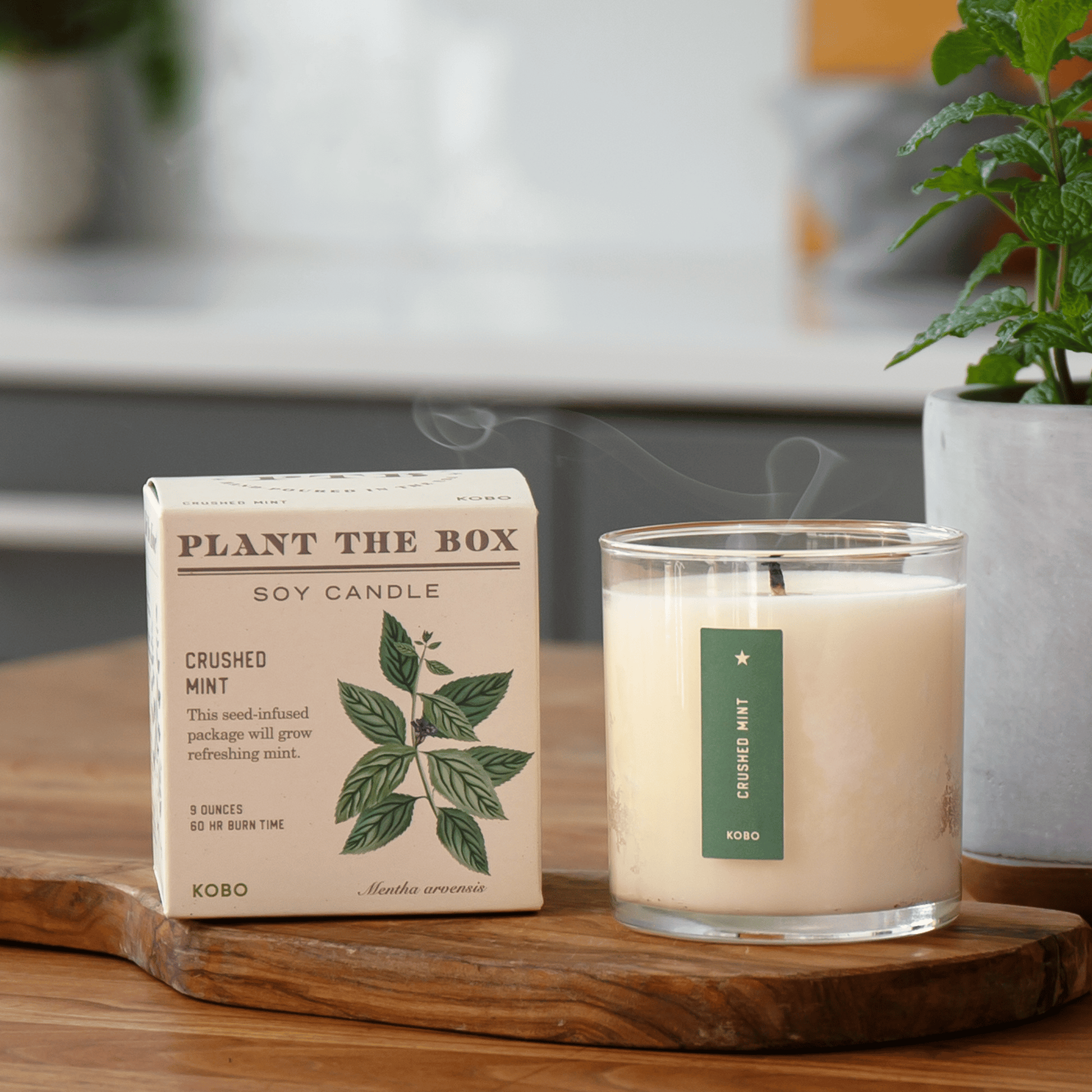 Alternate Image of Crushed Mint Candle