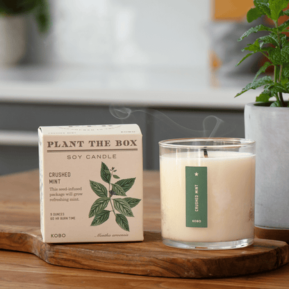 Alternate Image of Crushed Mint Candle