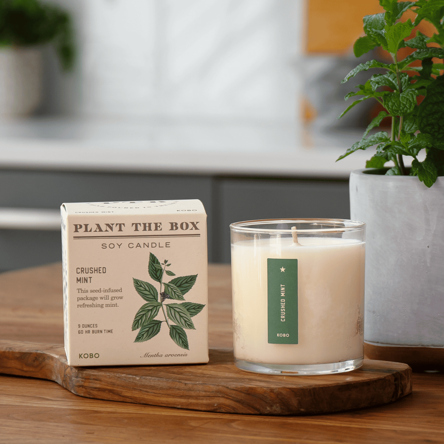 Alternate Image of Crushed Mint Candle