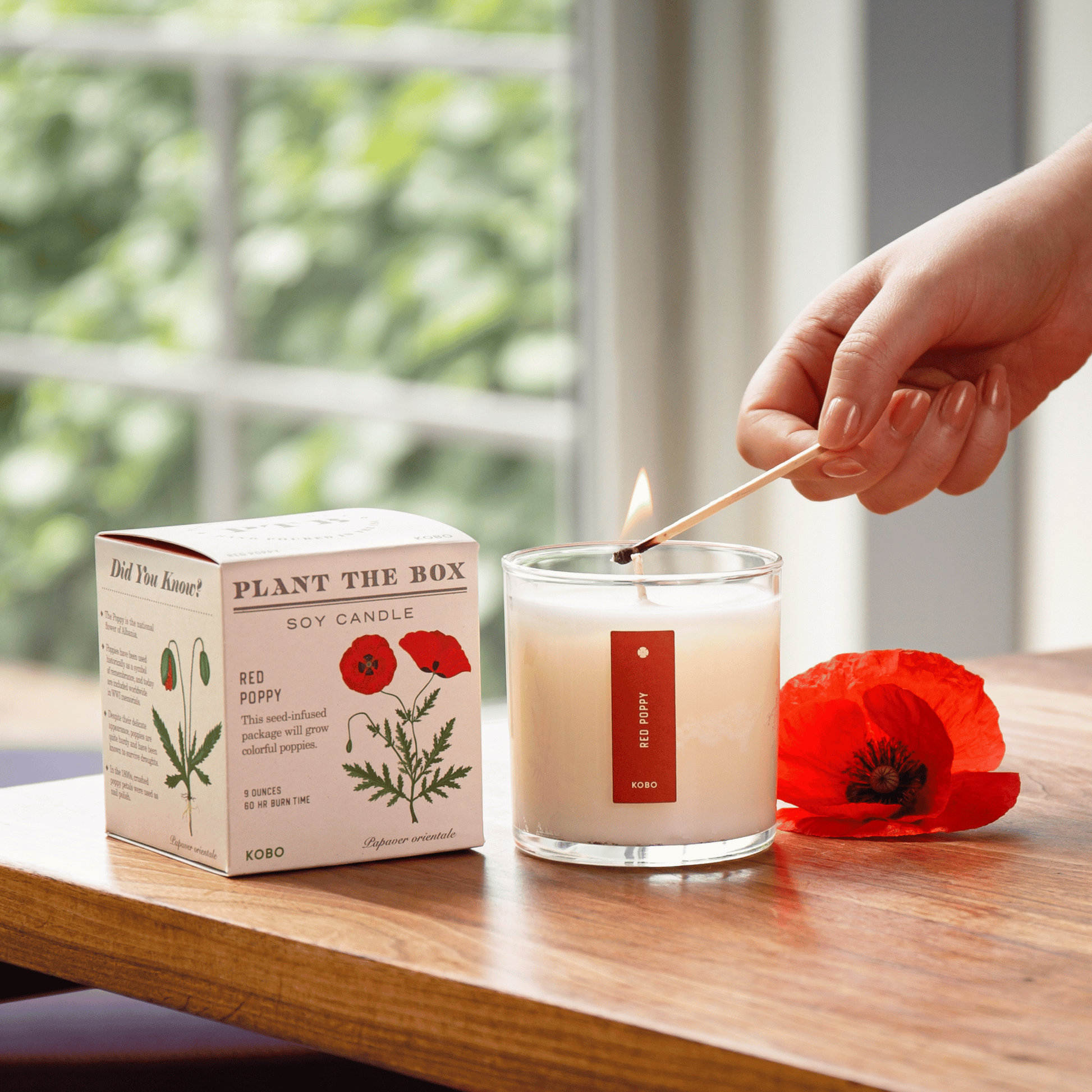 Alternate Image of Red Poppy Candle