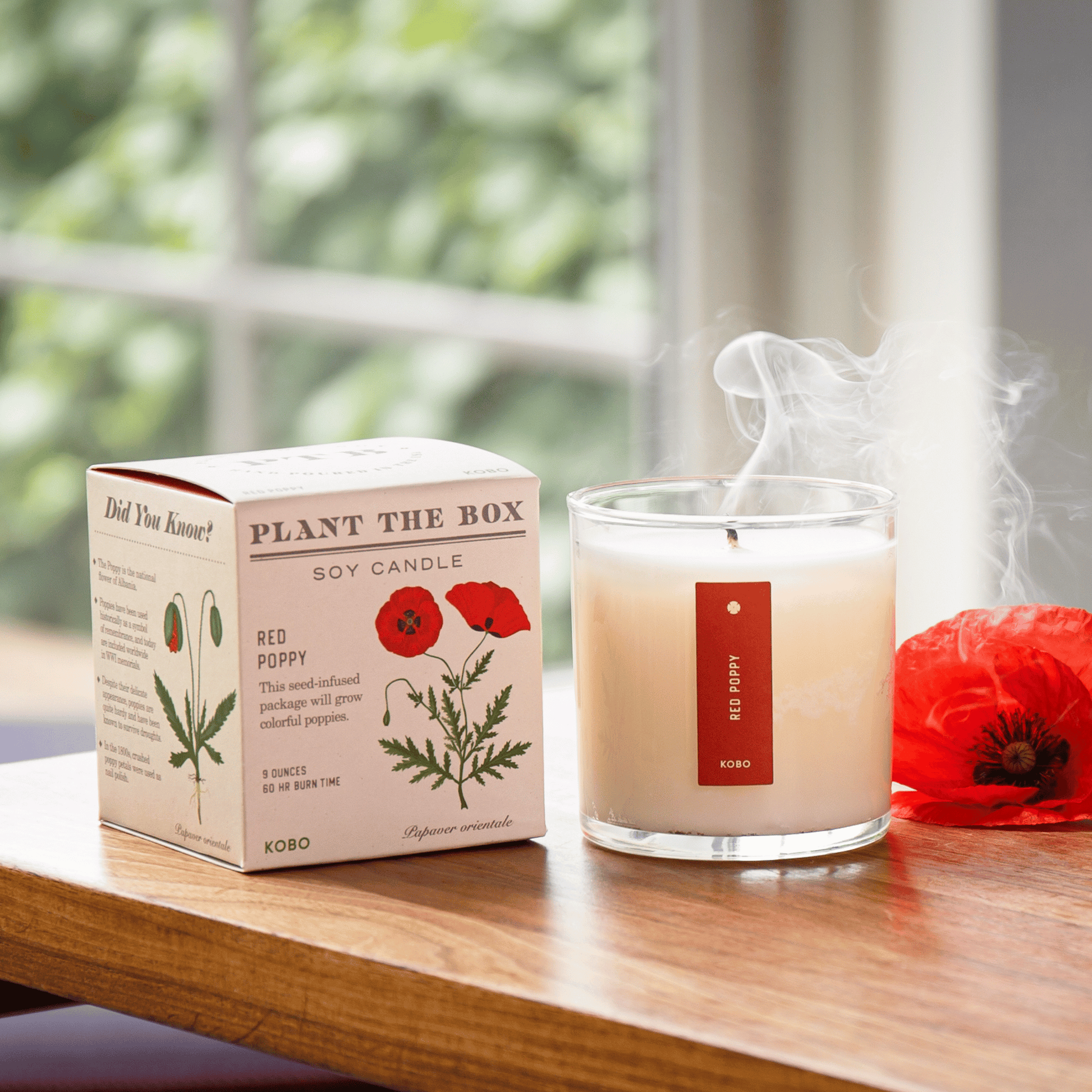 Alternate Image of Red Poppy Candle