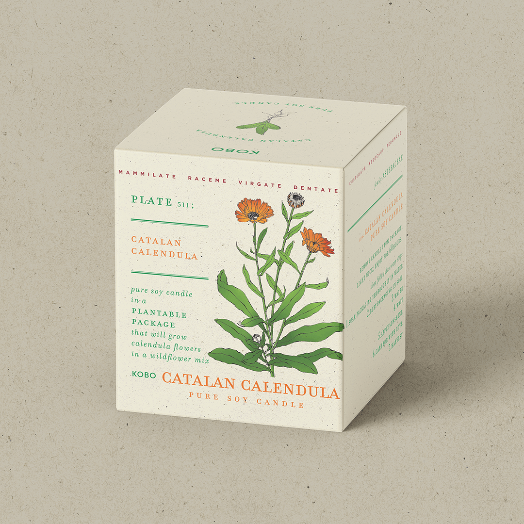 Catalan Calendula Plant The Box 9 oz Candle