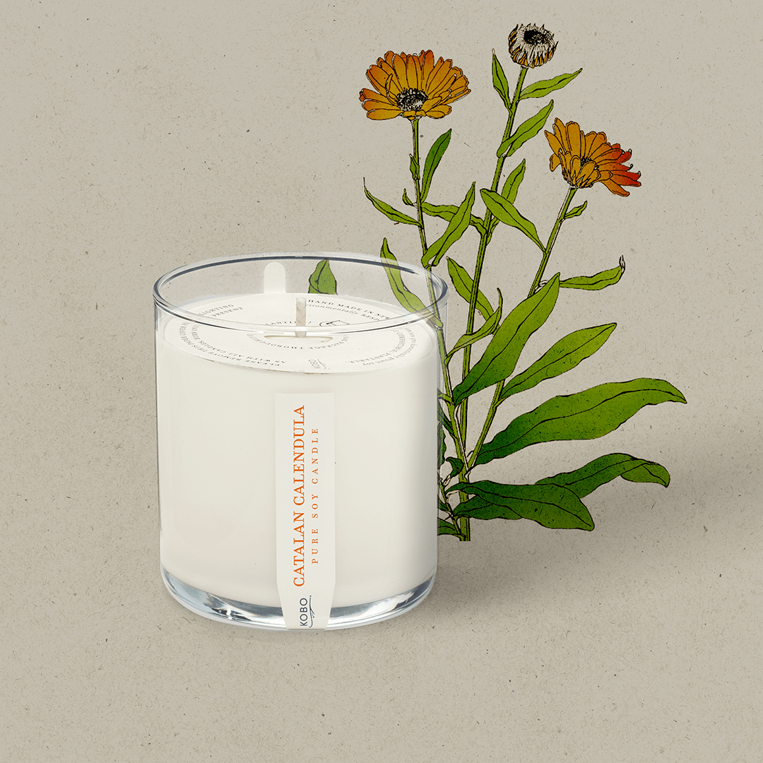 Catalan Calendula Plant The Box 9 oz Candle