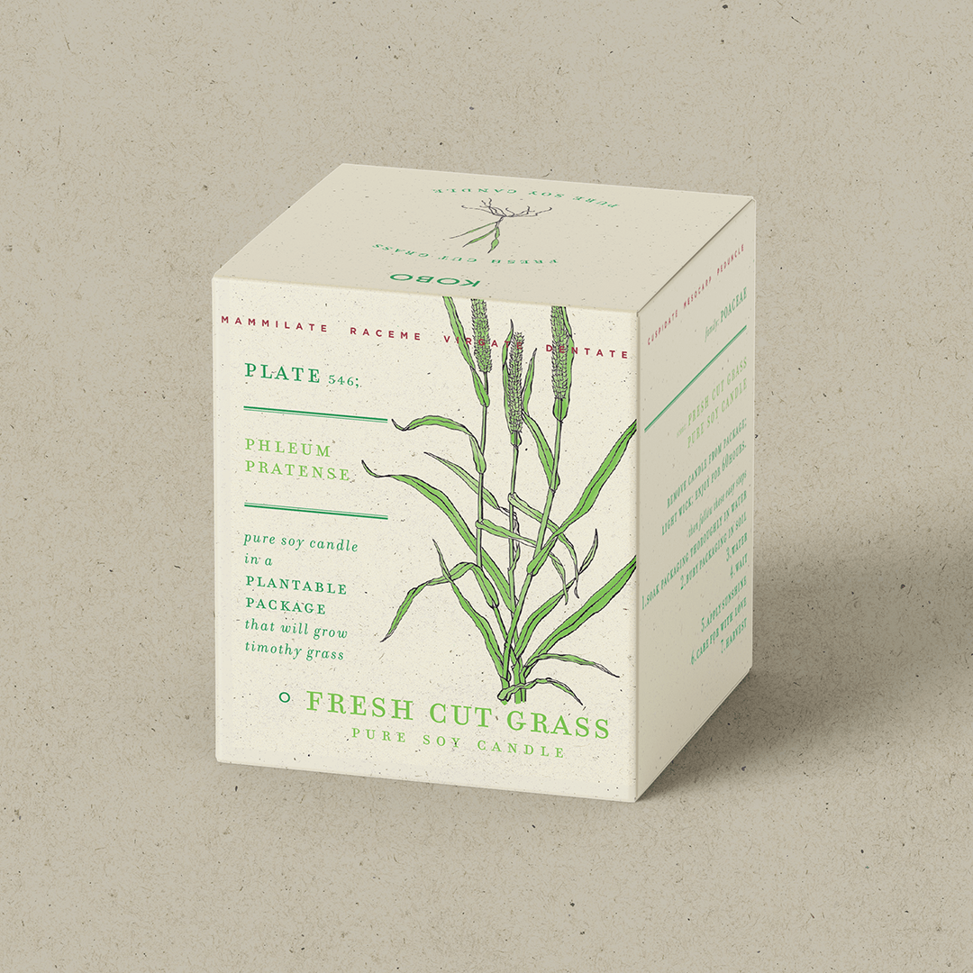 Fresh Cut Grass Plant The Box 9 oz Candle
