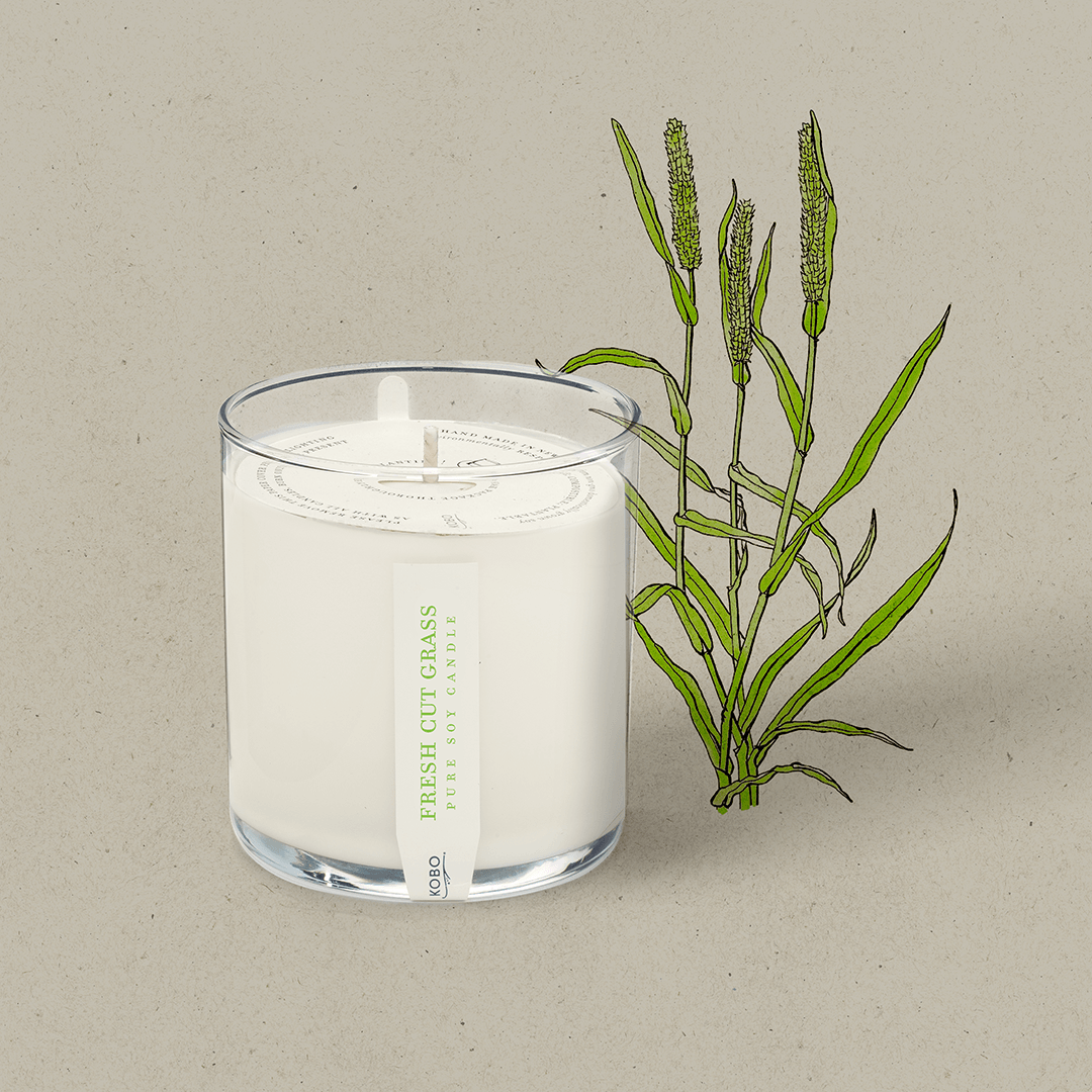 Fresh Cut Grass Plant The Box 9 oz Candle KOBO
