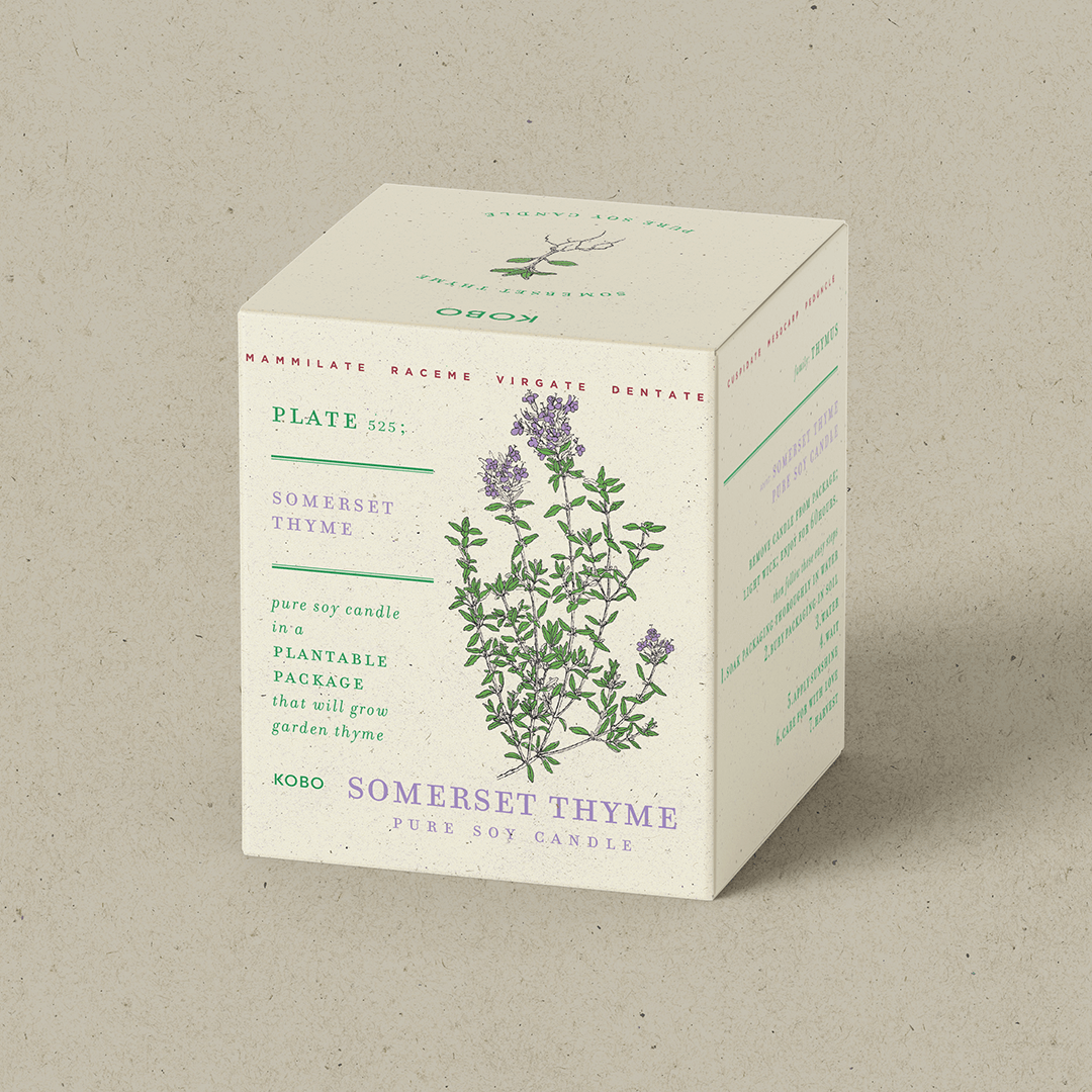 Somerset Thyme Plant The Box 9 oz Candle