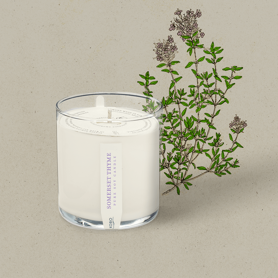 Somerset Thyme Plant The Box 9 oz Candle