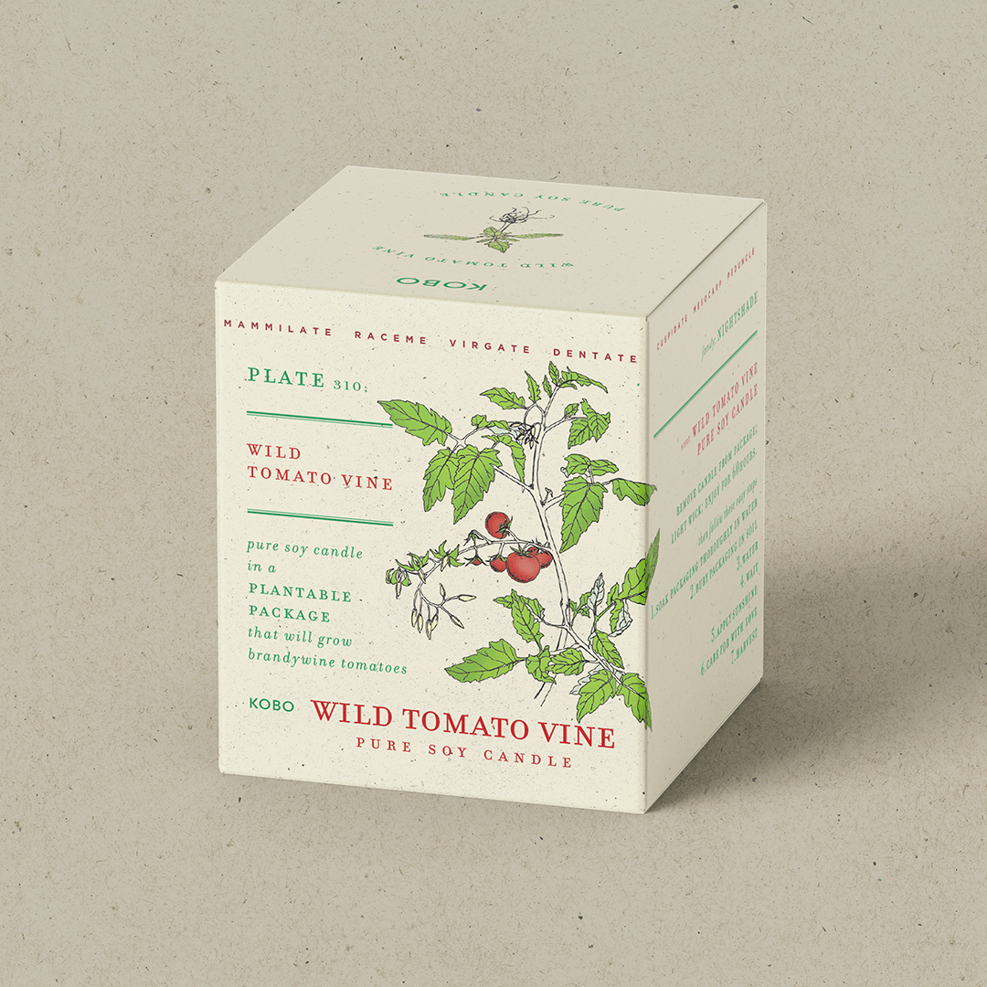 Wild Tomato Vine Plant the Box 9 oz Candle