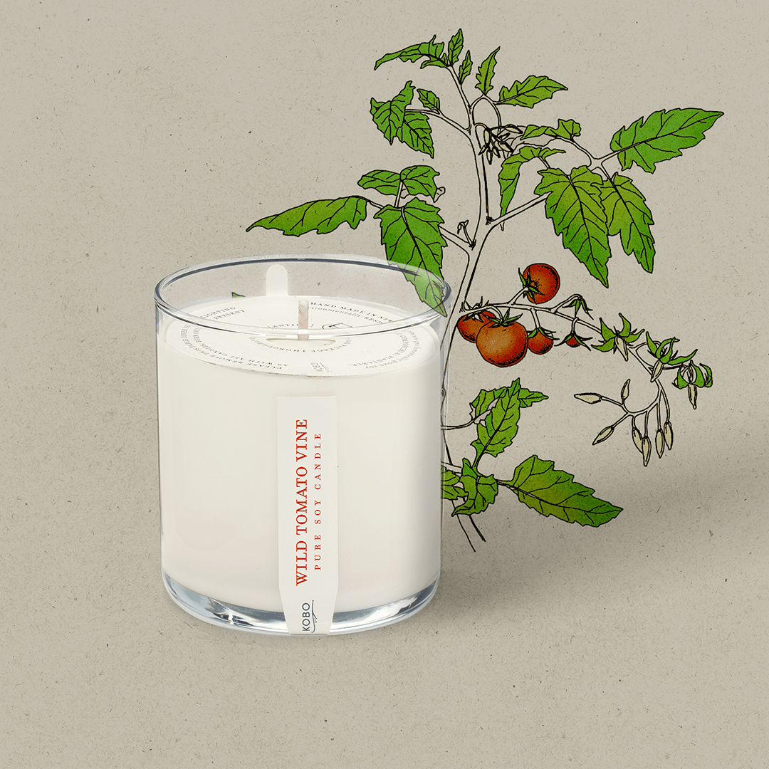 Wild Tomato Vine Plant the Box 9 oz Candle