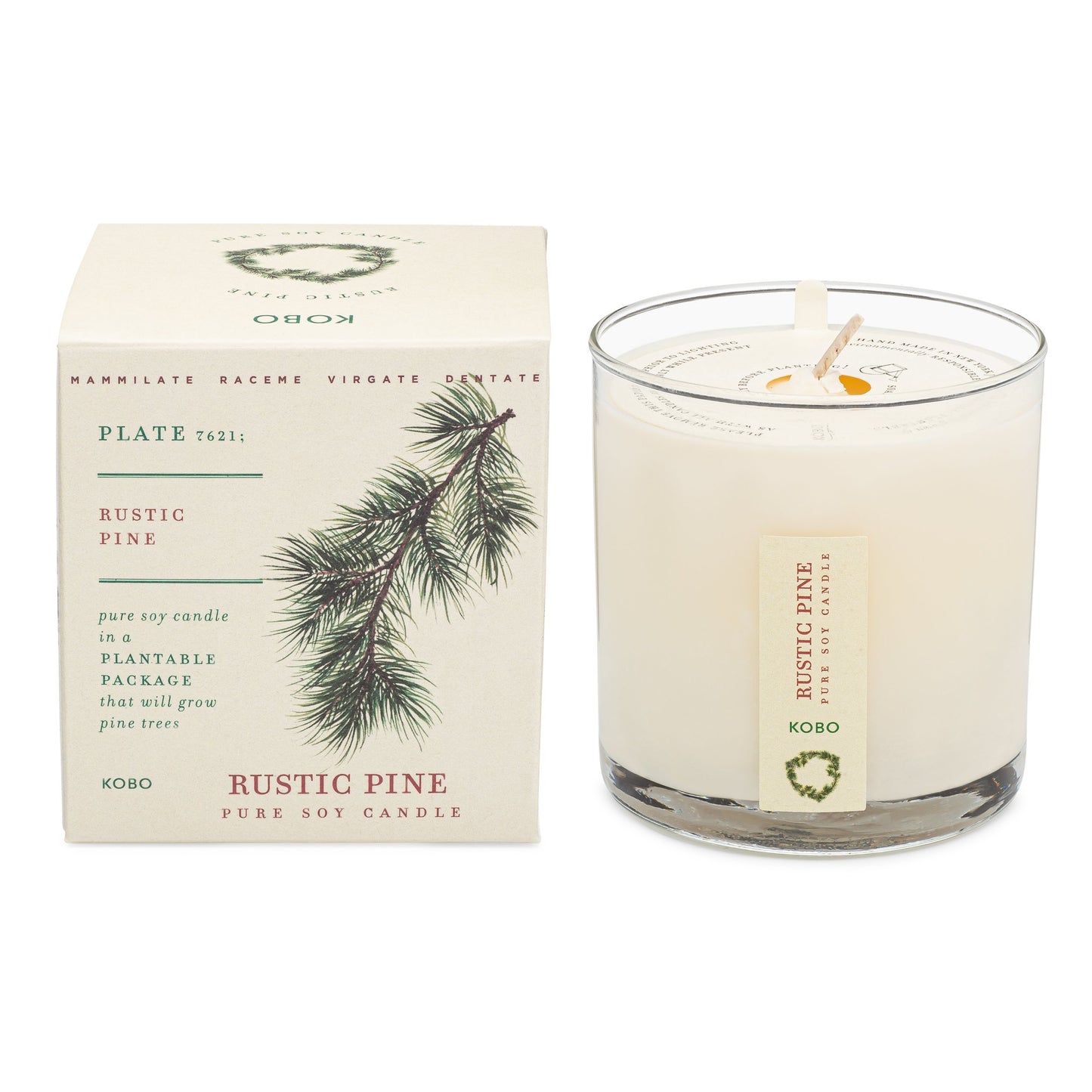 Rustic Pine Plant The Box 9 oz Candle