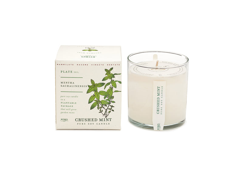 Crushed Mint Plant The Box 9 oz Candle