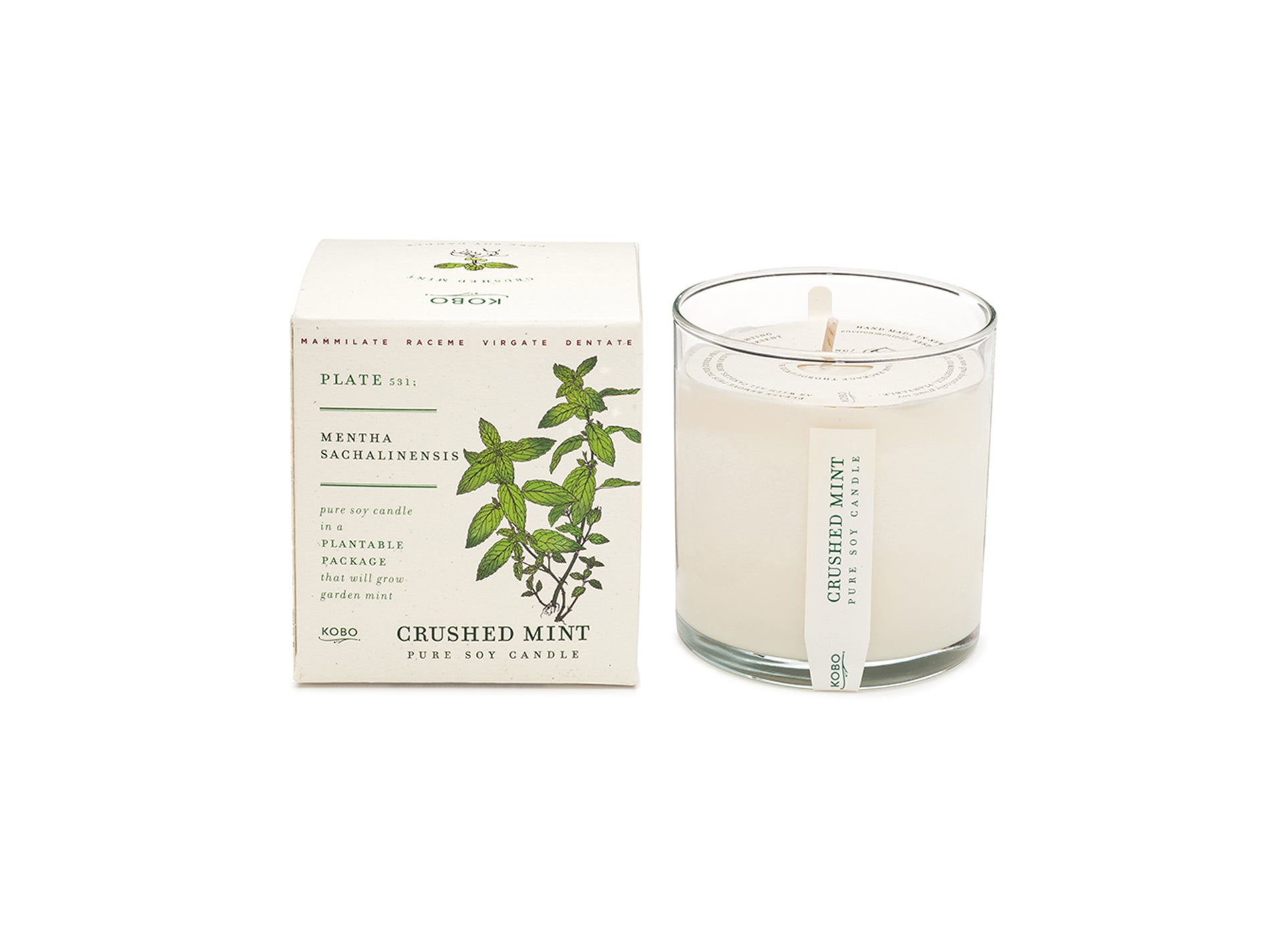 Essential Oil Candle : 04, 熹