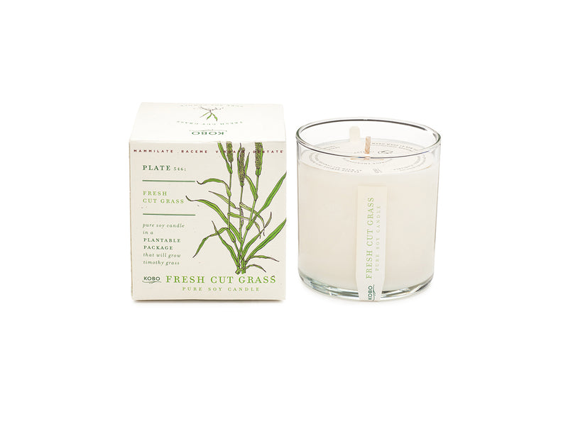 Fresh Cut Grass Plant The Box 9 oz Candle