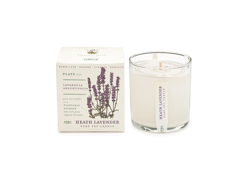 Heath Lavender Plant The Box 9 oz Candle