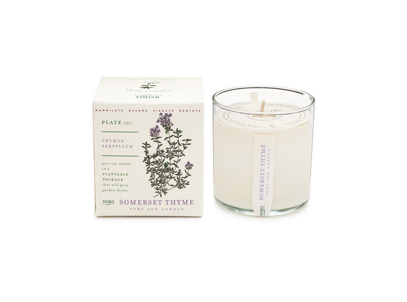 Somerset Thyme Plant The Box 9 oz Candle