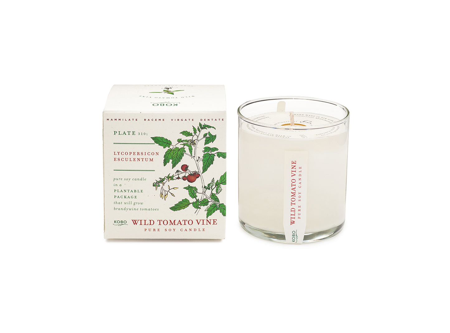 Wild Tomato Vine Plant the Box 9 oz Candle